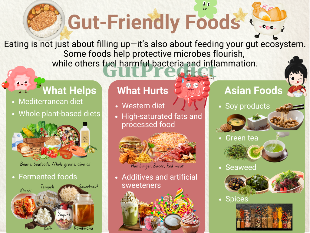 Gut-Friendly Foods Overview