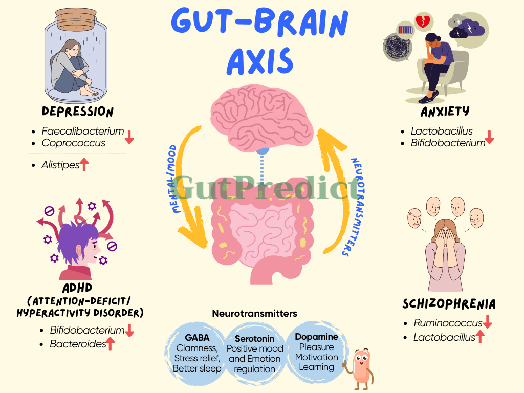 Gut Microbiome and Brain Axis