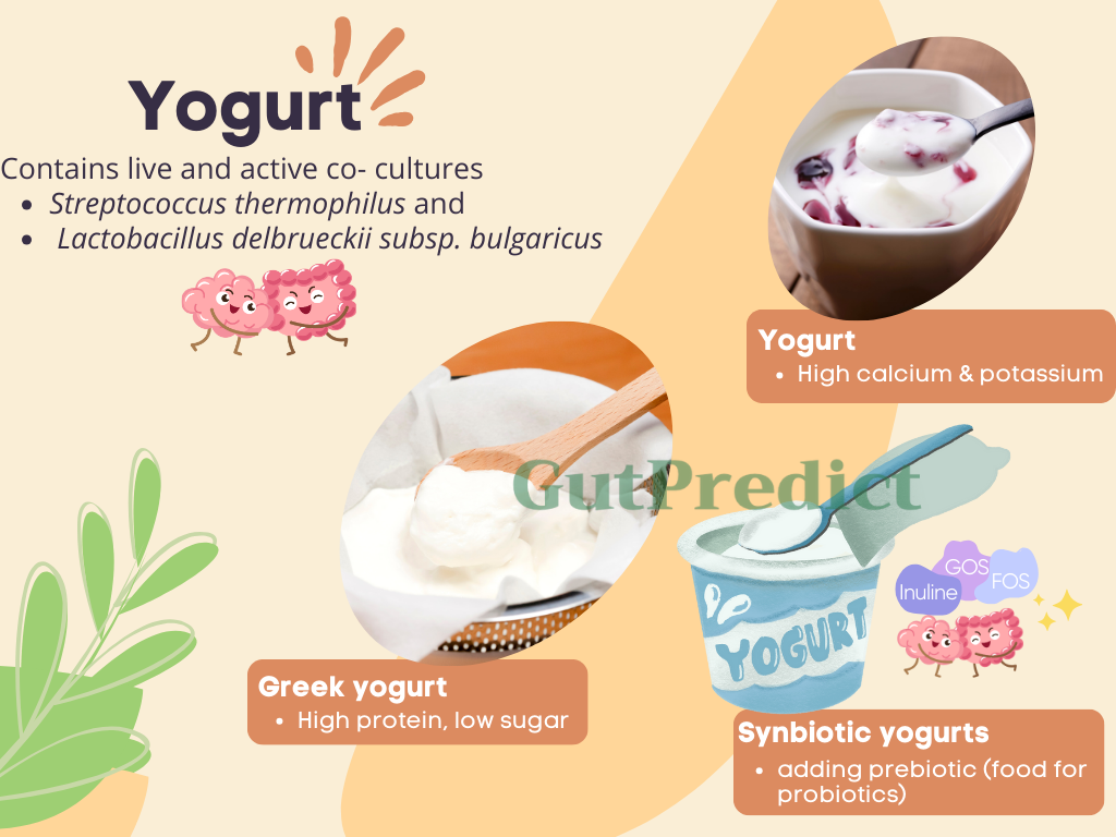Yogurt Benefits and Microbes